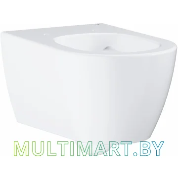 Унитаз Grohe Essence 3957100H